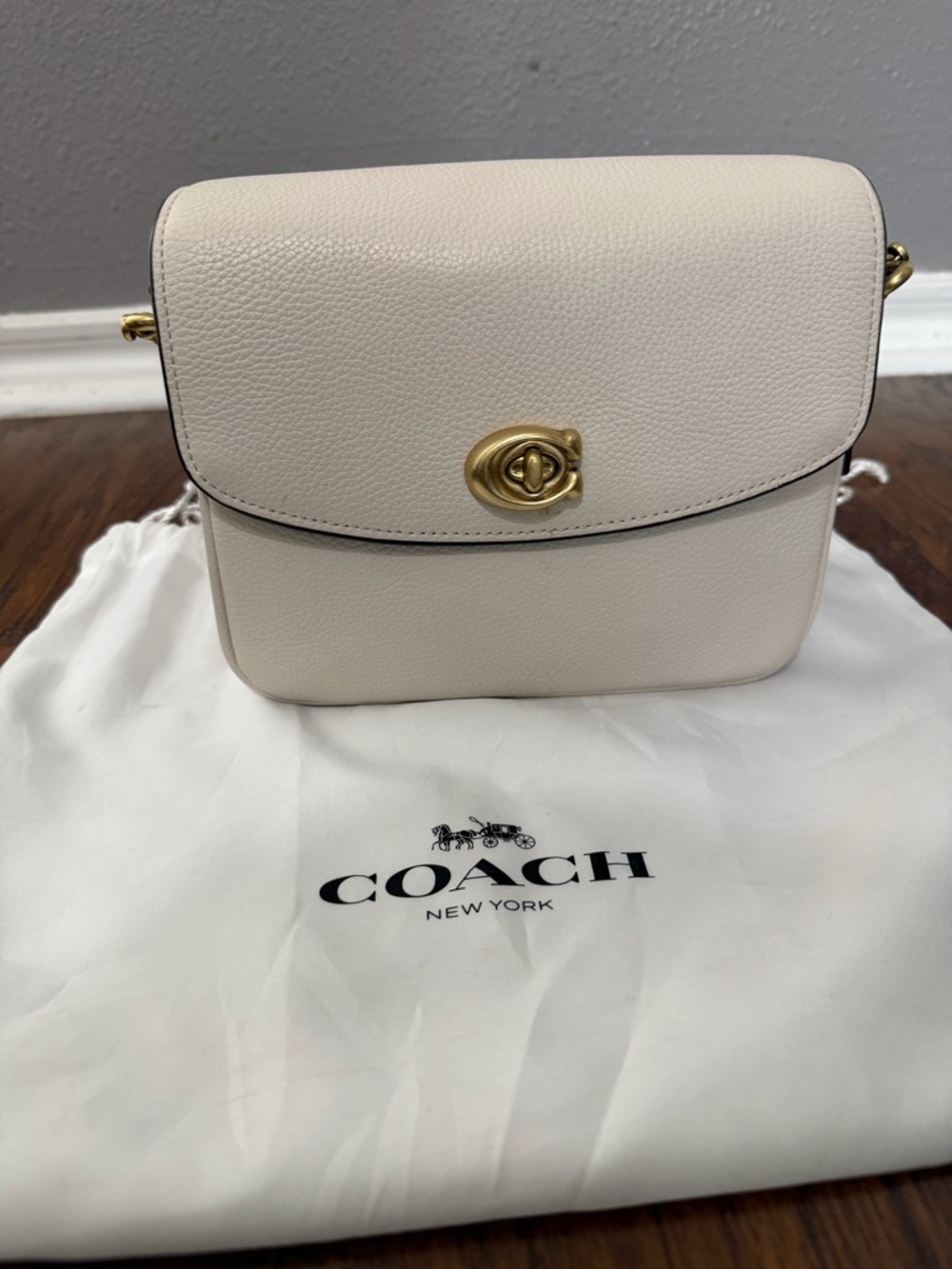 COACH Cassie 19 Pebbled Leather Bag in Chalk
